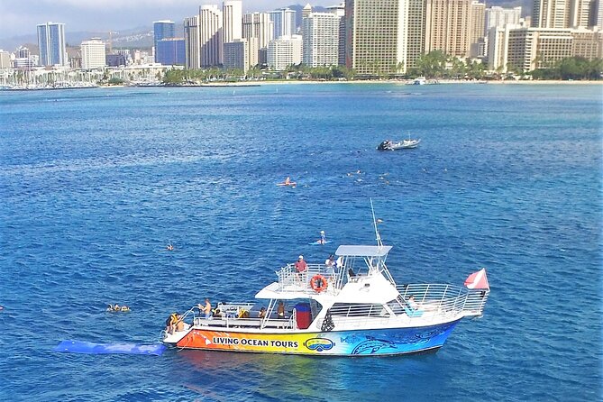 Turtle Canyons Snorkel Excursion From Waikiki, Hawaii - Experience and Expectations