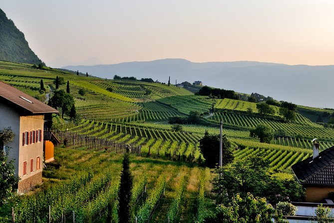 Tuscany Wine Tour From Rome With Private Driver - Transportation and Logistics