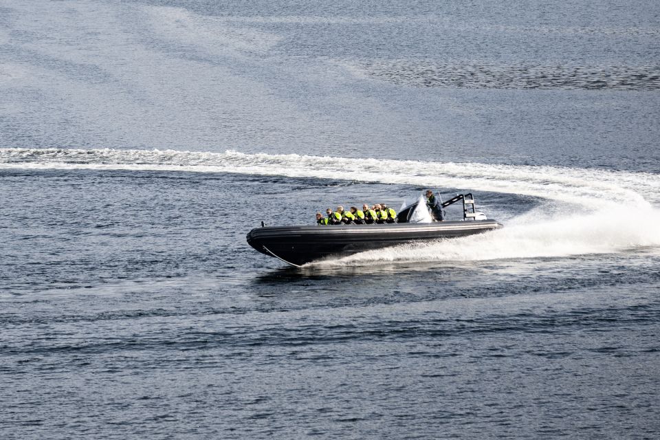 Ulvik Fjord Cruise: Scenic RIB Adventure to Osafjord - Highlights of the Experience