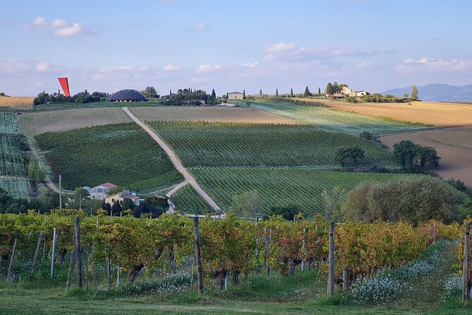 Umbria Wine Lovers Tour | Montefalco & Bevagna | Small Group Tour - Guided Tastings by Experts