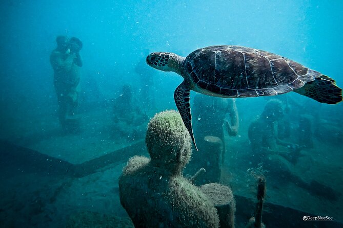 Underwater Sculpture Park Snorkel Adventure - Inclusions and Pricing