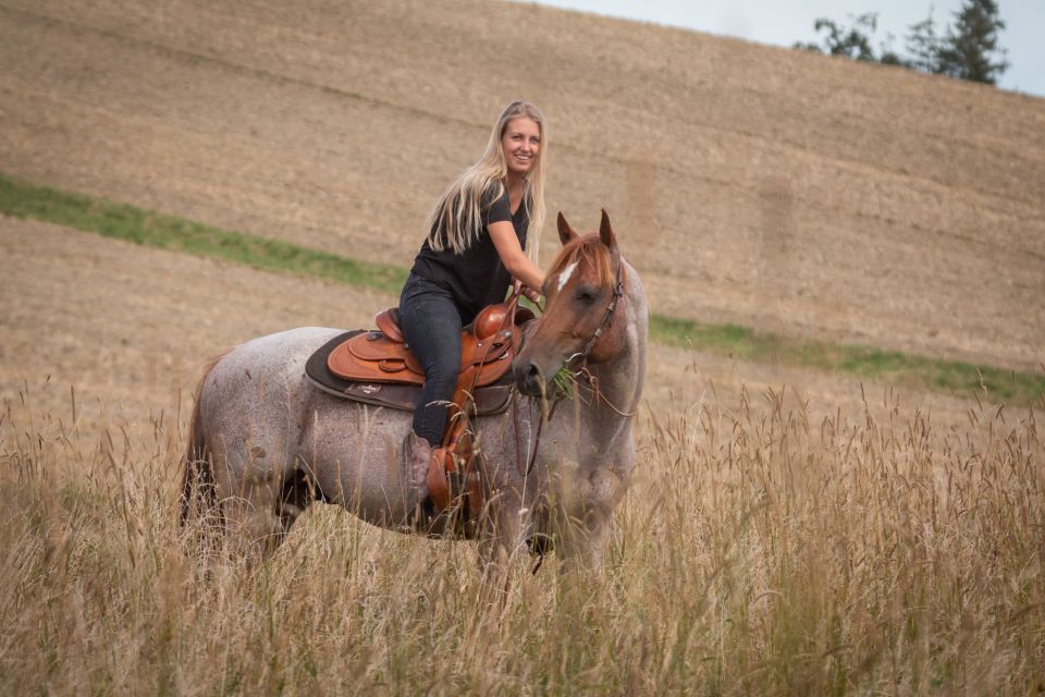 Upper Austria: Landscape, Forests, Meadows - Hiking Ride on Horseback