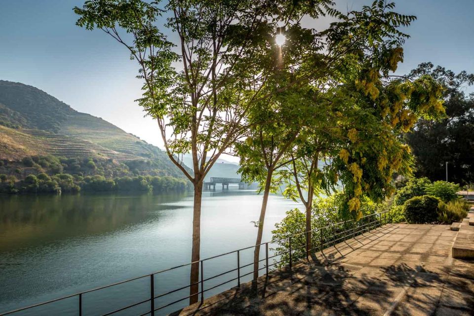 Upper Douro Valley - the Crown Jewel - Exploring the Douro River