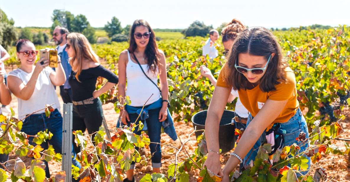 Valencia: Winery Visit With Vineyard Tour & Wine Tasting - Experience Highlights