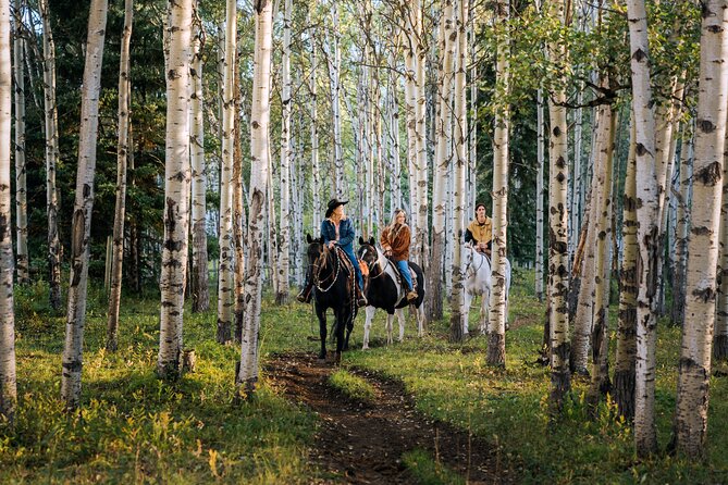 Valley Vista 1.5 Hour Horseback Trail Ride in Kananaskis - Equipment and Gear Provided