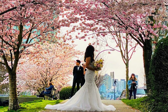 Vancouver City Tour With Cherry Blossom Festival Private - Capturing Cherry Blossom Moments