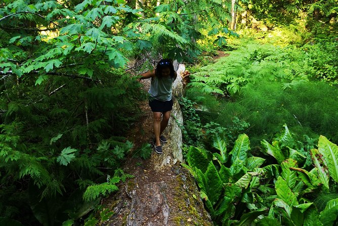 Vancouver Island Rainforest Guided Hike With Private Guide - Requirements and Restrictions