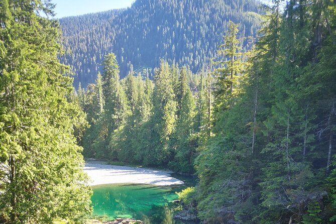 Vancouver Island Tour, The Wilderness Explorer to Nahmint Valley - Meeting Point and End Point