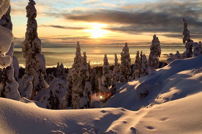 Vancouver Panoramic View Hike - Hike Start Time and Duration