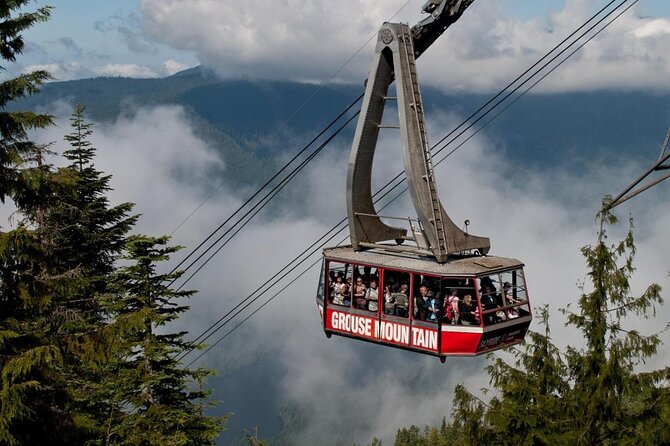 Vancouvers Finest Private Sightseeing Tour - Included Services