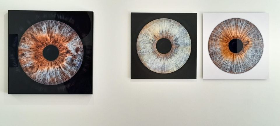 Versailles: We Create Art From Your Eyes - Capturing the Depth of Your Iris