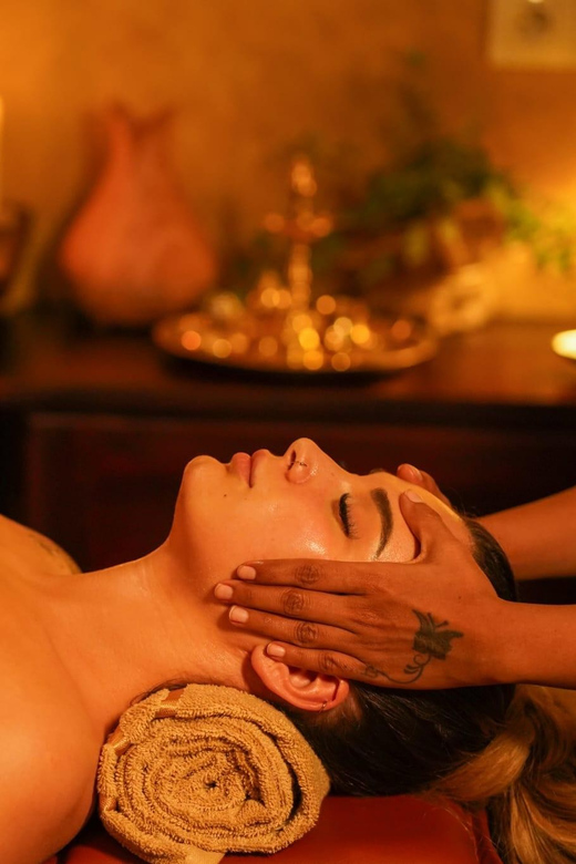 Vienna: 1-Day Ayurveda Retreat in Slovakia With Lunch & Tour - Retreat Experience and Itinerary