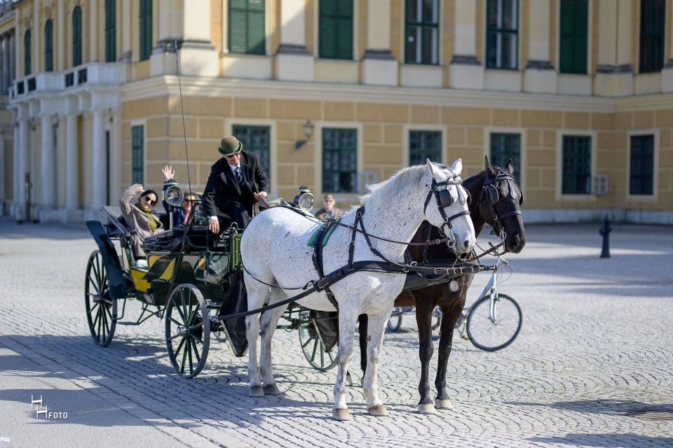 Vienna: Carriage Ride Through Schönbrunn Palace Gardens - Booking and Cancellation Policy