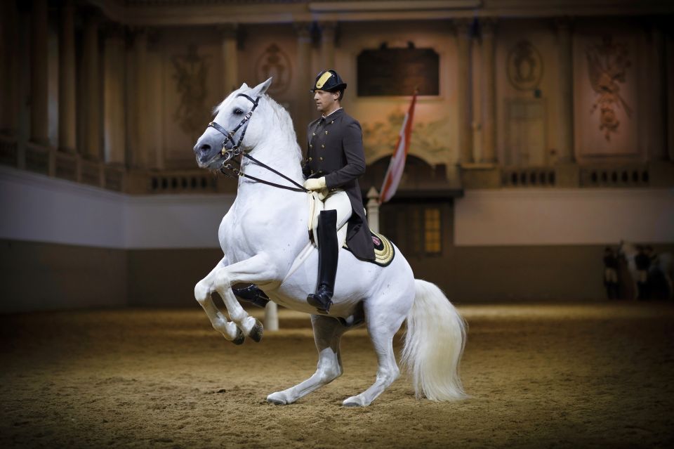 Vienna: Spanish Riding School 45-Minute Performance Show - Reservation Flexibility