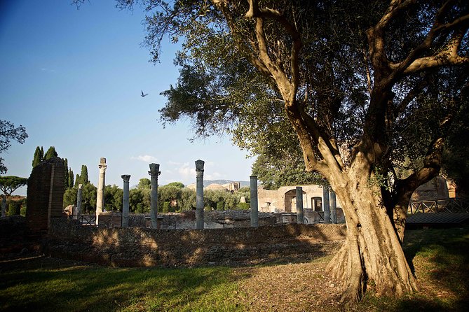 Villa Adriana and Vila D Este Private Photo Tour and Workshop - Tour Details