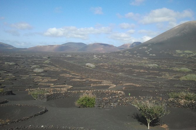 Vineyards of La Geria Hiking Tour - Highlights of the Hike