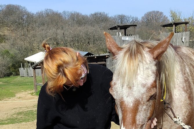 Visit a Farm and Horseback Riding in Nature - Meeting and Pickup Information