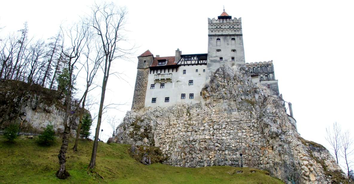 Visit Bear Sanctuary and Bran Castle From Brasov - Attractions