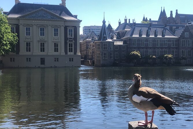 Visit the Girl With the Pearl Earing, the Hague & Delft City - Private Day Tour - Mauritshuis Museum