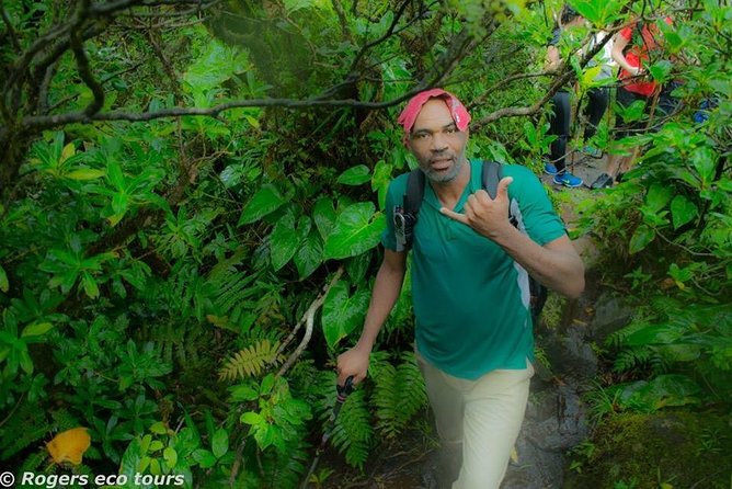 Volcano Caldera (Mt. Liamuiga) Trek - Confirmation and Booking Details