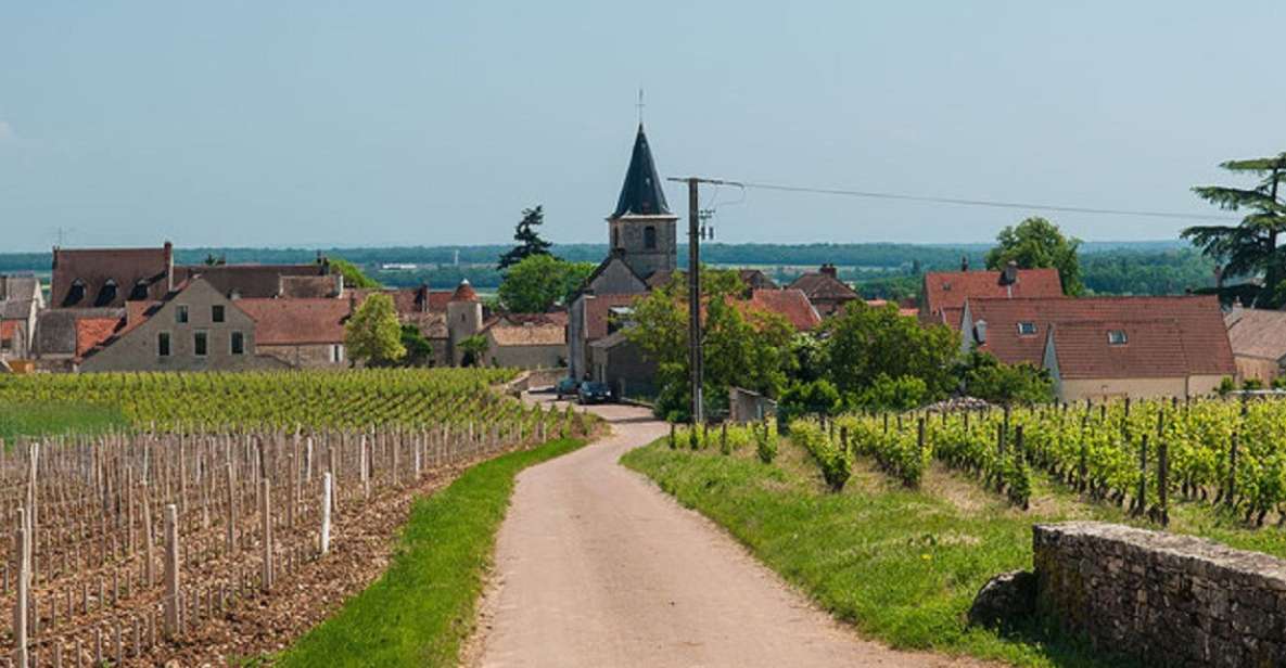 Vosne-Romanée: Private Vineyards Walking Tour With Tasting - Vosne-Romanée Exploration