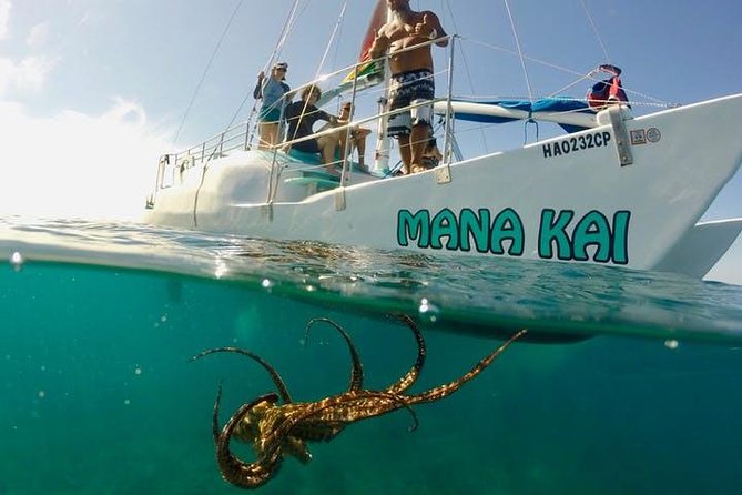 Waikiki Turtle Snorkel Adventure With Manakai Catamaran - Meeting Location and Logistics