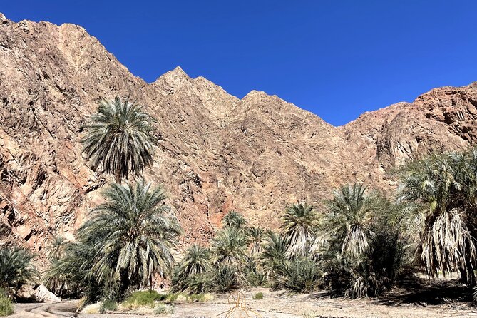 Walk in Moses Footsteps - Tour Between Tabuk and the Red Sea - Inclusions