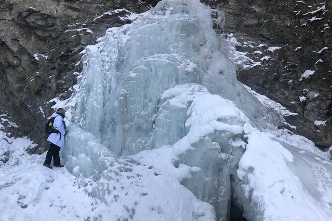 Walking Tour in Star Creek Falls With Science Activities - Whats Included in the Experience