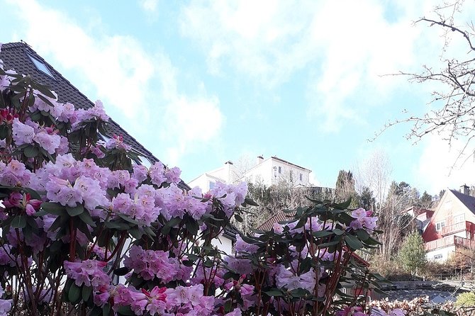 Walking Tour: Medieval Spirit of Bergen - Discovering the Bergenhus Fortress