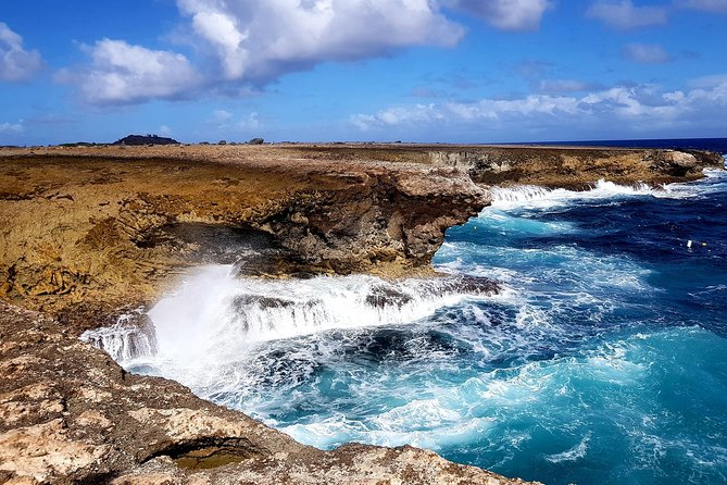 Washington Slagbaai National Park Tour in Bonaire - Tour Highlights