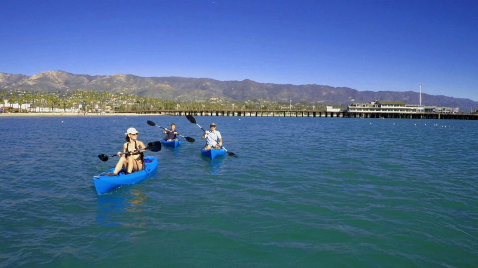 West Beach: Kayak Rental - Kayak Options and Equipment