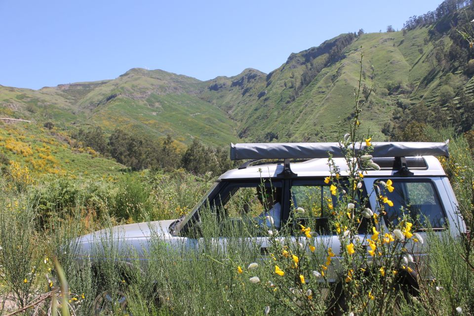 West Tour Full Day 4x4 Jeep Tour Natural Swimming Pools - Highlights of the Tour