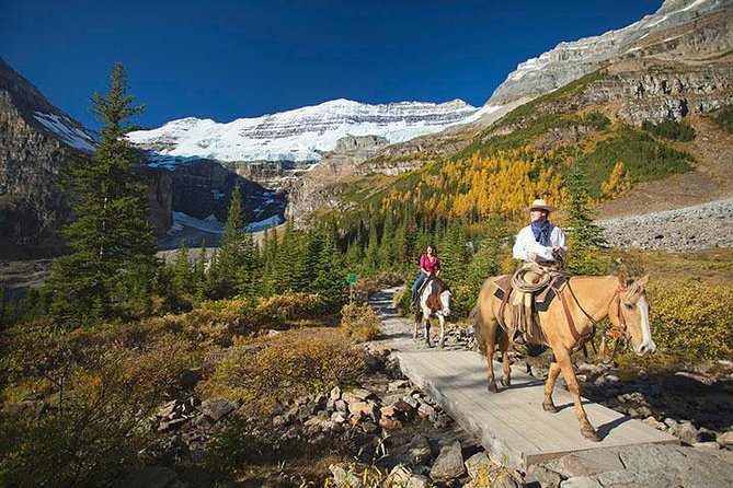 Western Trails - One Way Vancouver To Calgary Rockies Bus Tour - Accommodation and Amenities