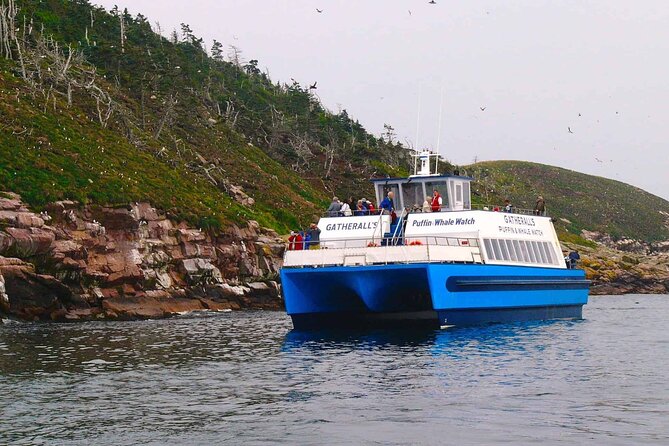 Whale and Puffin Watching Tour - Pickup and Meeting Point