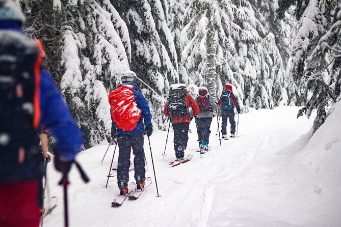 Whistler Intro to Backcountry Skiing and Splitboarding - Group Size and Booking