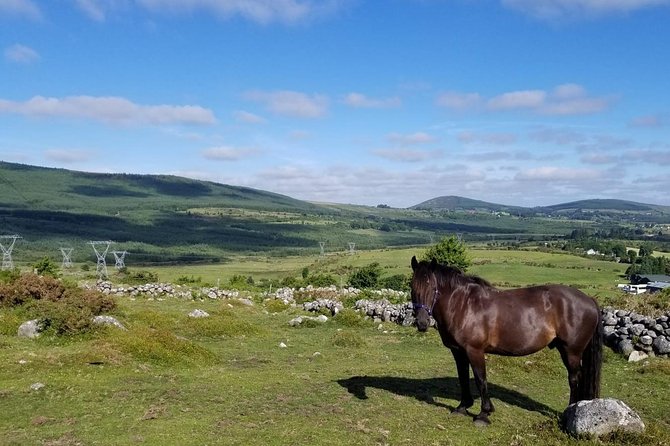 Wicklow Mountains Horse Trekking - Meeting Point and Directions