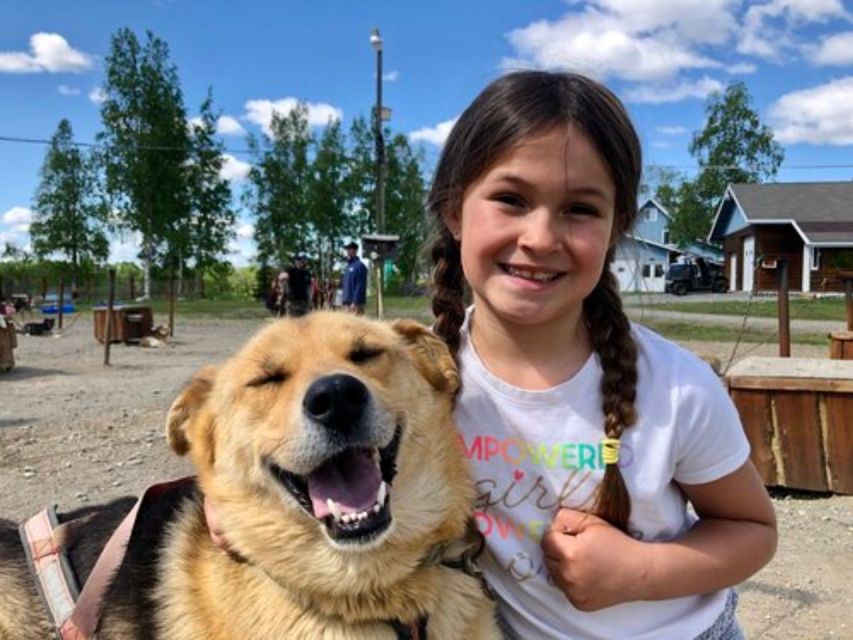 Willow: Summer Dog Sledding Ride in Alaska - Breathtaking Views of Denali