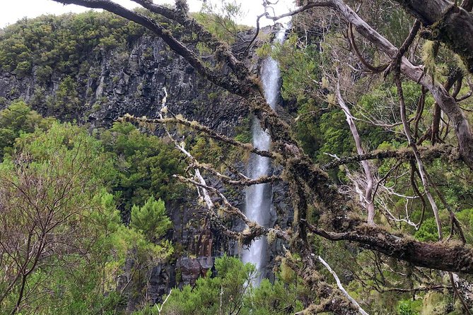 Wind Lagoon and Waterfalls Hike and Tour - Discovering Islands Biodiversity and Geology