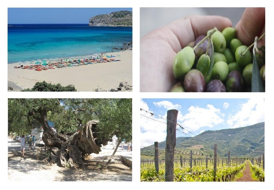 Wine and Olive, Falasarna Beach Day Tour - Itinerary Highlights