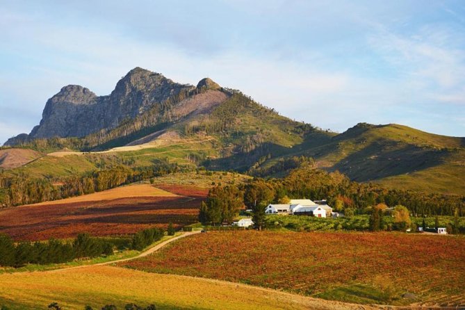 Wine Beer and Biltong Safari - Stellenbosch - Discovering Native Wildlife