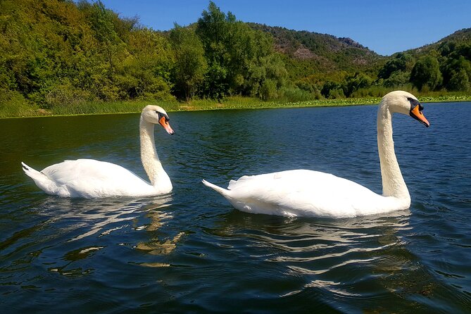 Wine & Food Pairing - Skadar Lake & Lovcen National Park - Sampling Local Organic Produce