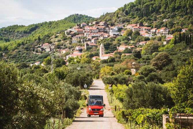 Wine & Sightseeing Tour Korcula - Inclusions