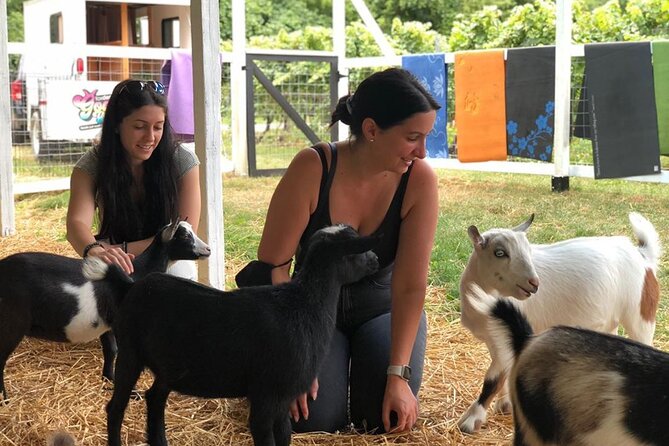 Wine Tasting and Nigerian Dwarf Goats Experience - Meeting Point and Accessibility