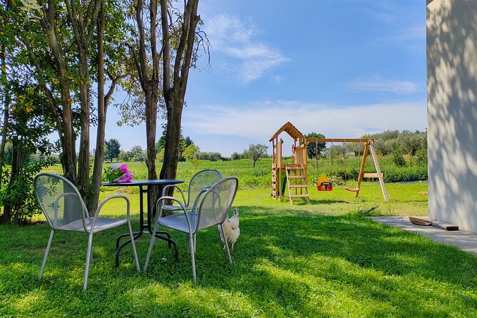 Wine Tasting With Local Food in Lazise Countryside - Wines and Local Delicacies