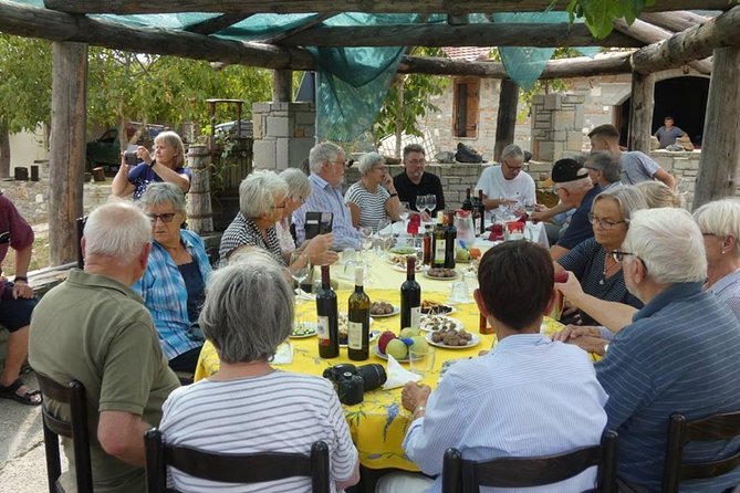 Winetasting Tour in Alpeta Winery - Roshnik Village by 1001 Albanian Adventures - Exploring the Roshnik Vineyards