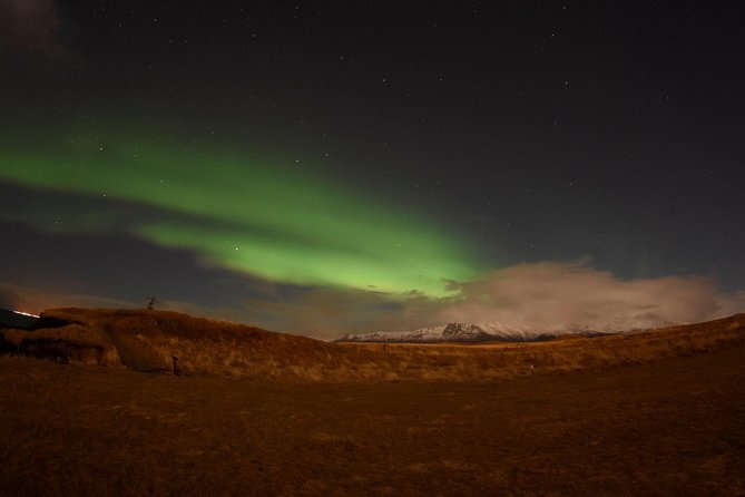 Winter Whale Watching & Northern Lights Cruise | Combo From Reykjavik - Activities Included