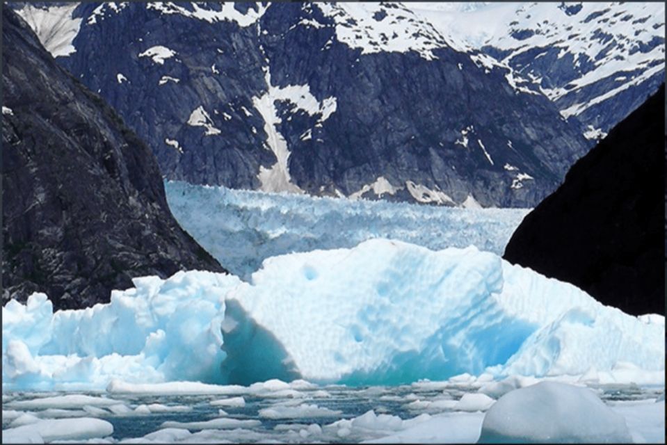 Wrangell: Leconte Glacier Boat Tour - Highlights of the Cruise