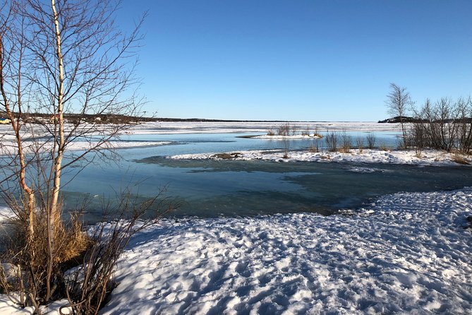 Yellowknife City Tour + Natures North Wildlife Gallery - Pickup Information