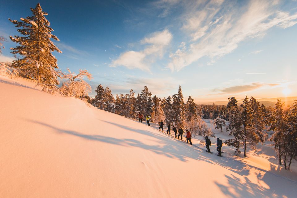 Ylläs: Forest Hike With Snowshoes and Campfire Snacks - Pricing and Booking