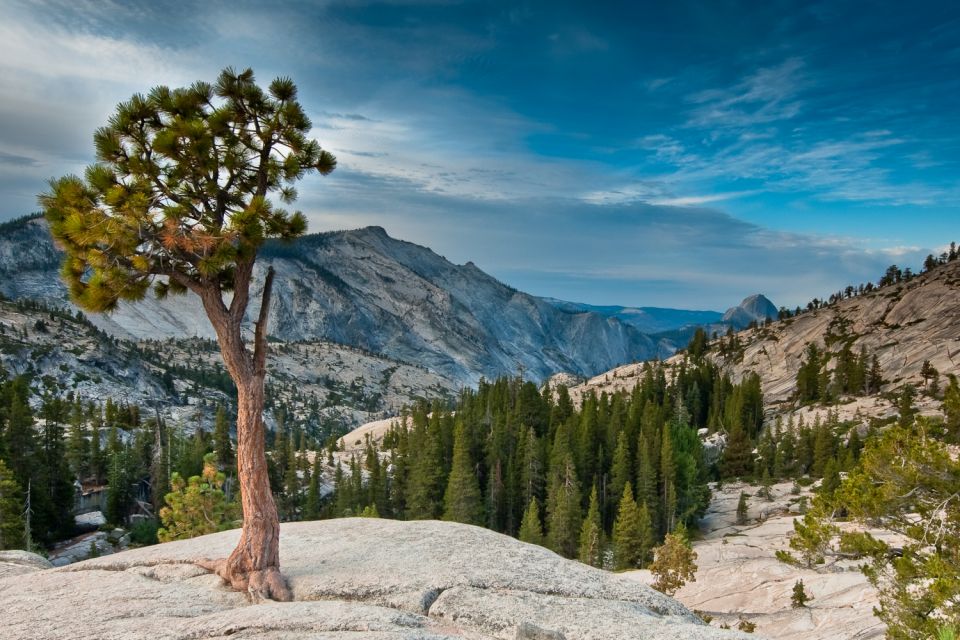 Yosemite National Park: App-Based Audio Guided Driving Route - Tour Details and Itinerary